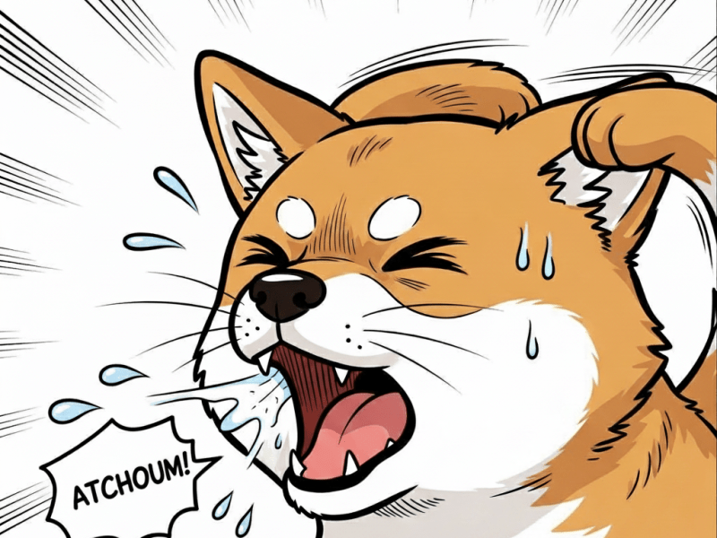 Allergies urbaines chez le chien : causes, symptômes et&nbsp;gestion